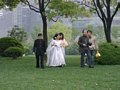 Und auch bei meinem kurzen Streifzug begegneten mir gleich mehrerer solcher Brautpaare. (Chinesen heiraten zwar in rot aber für die Fotos muss es jetzt auch ein westliches weißes Kleid sein.)